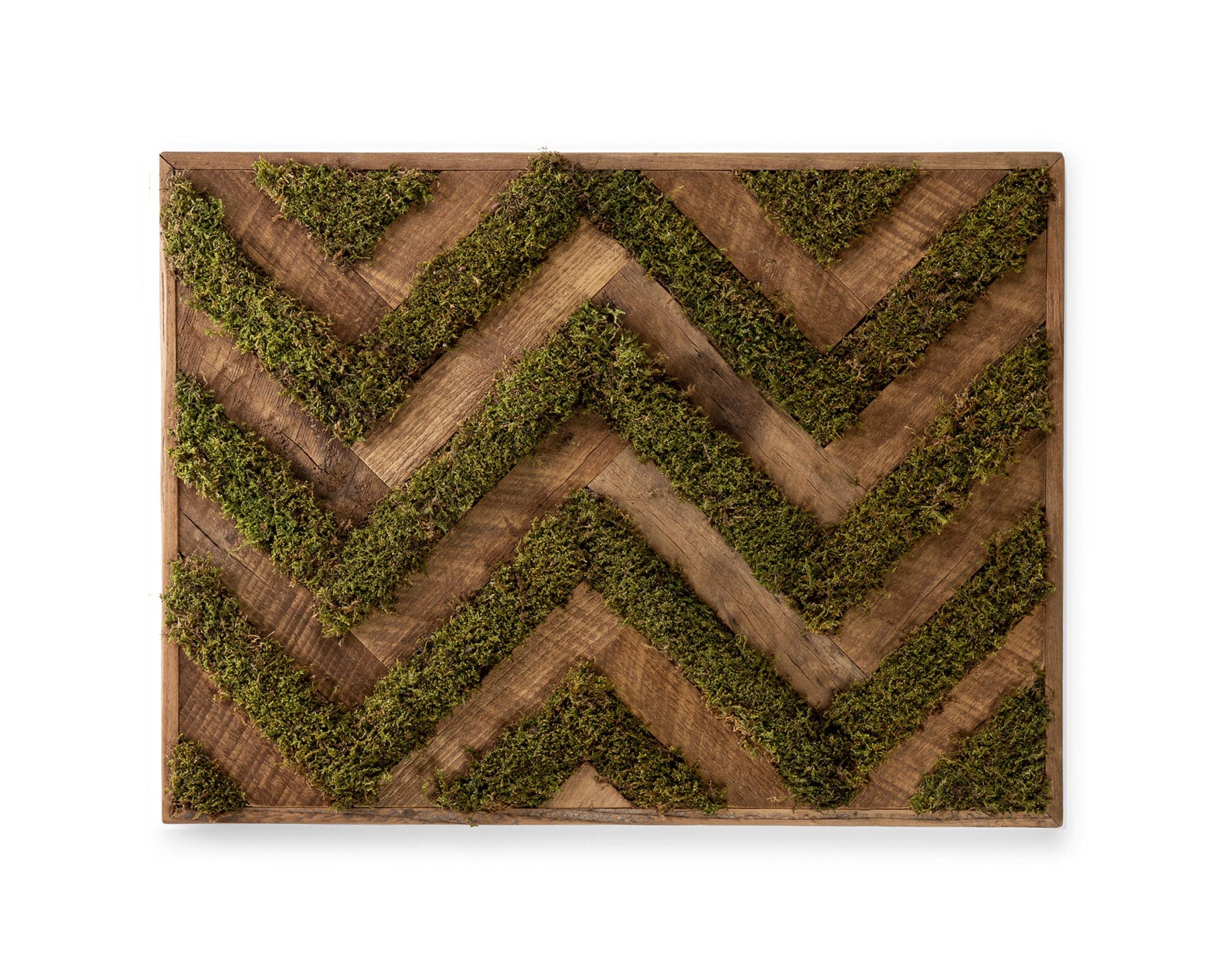 Zigzag Live Moss Wall Art - thumbnail 2
