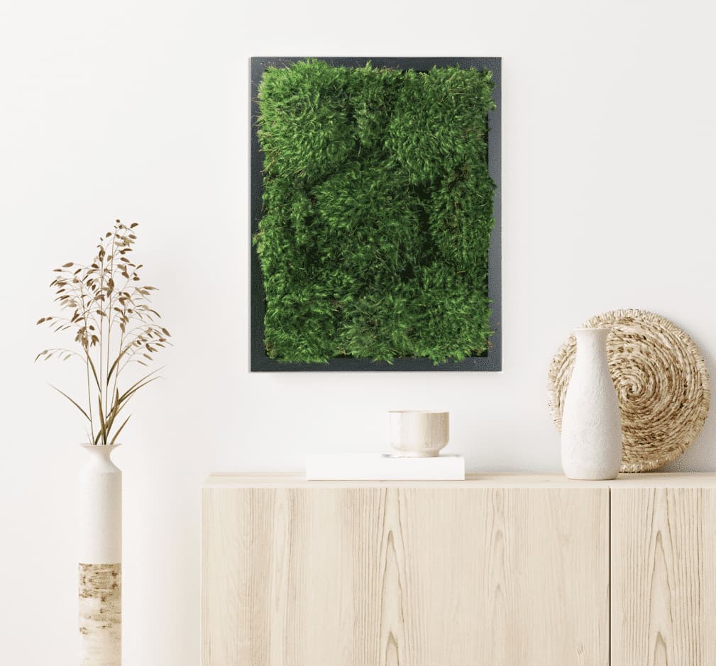 Build Your Live Moss Frame (Smaller sizes) - thumbnail 7