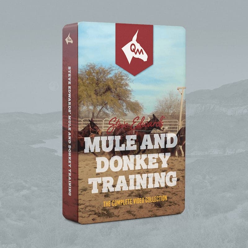 Mule and Donkey Training — The Complete Video Collection
