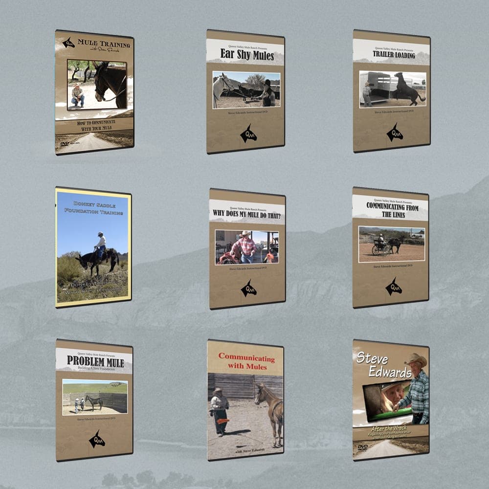 Mule and Donkey Training — The Complete Video Collection - thumbnail 2