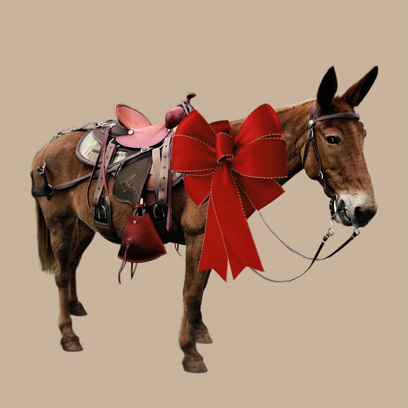 Packer’s Delight Bundle