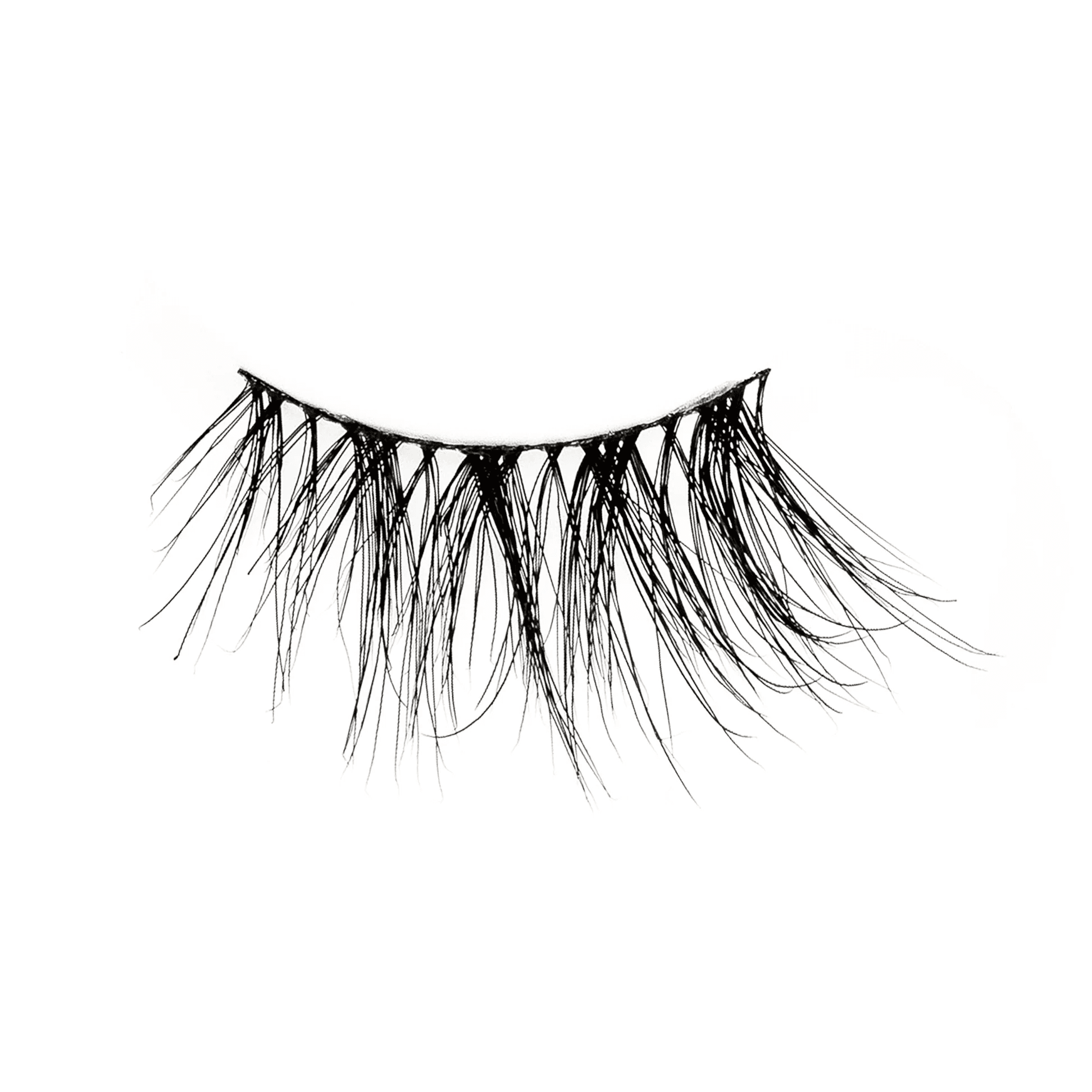 The Muse – Half Lash