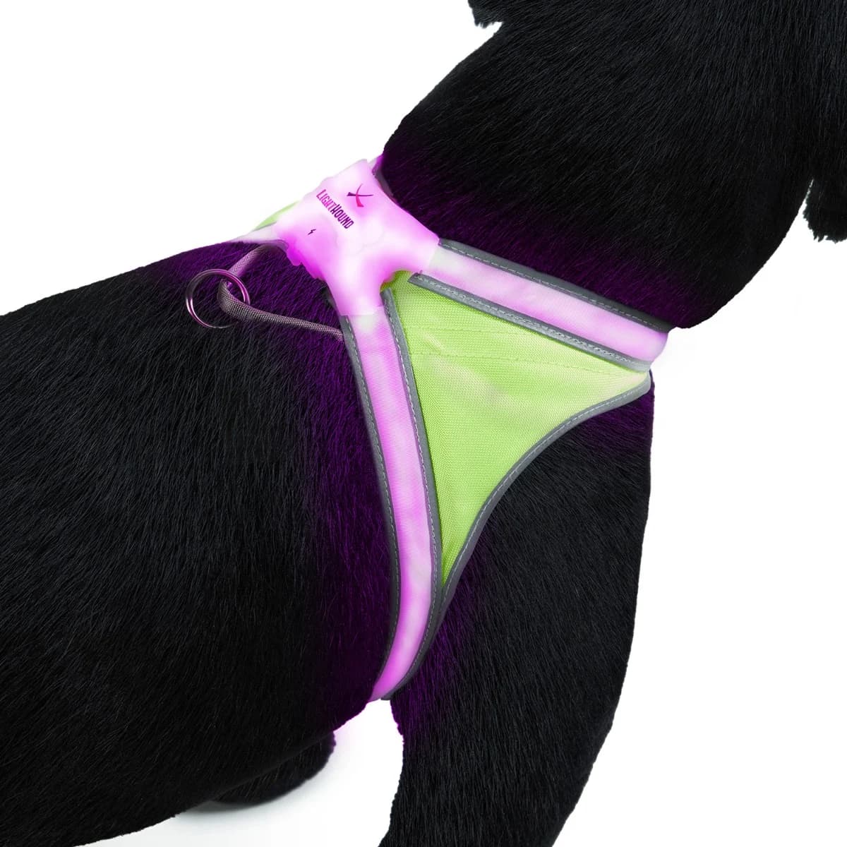 LightHound
