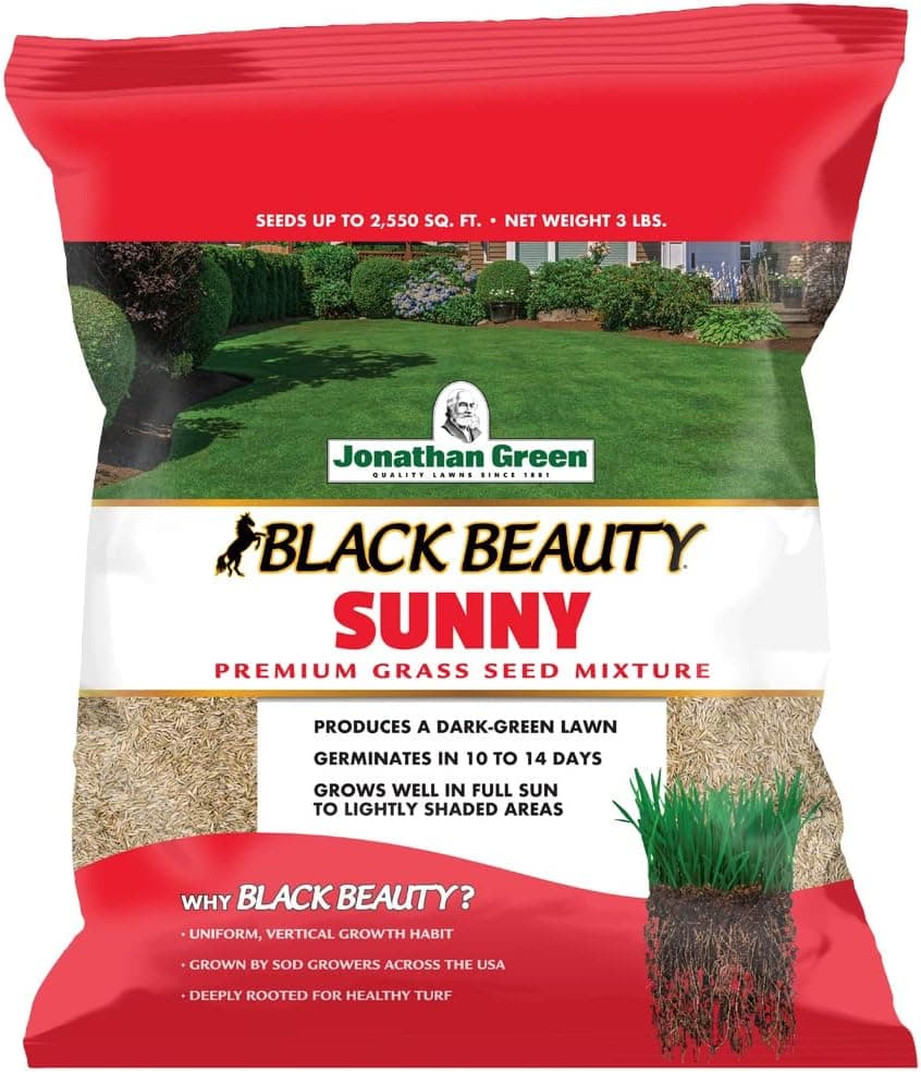Jonathan Green Black Beauty Sunny Grass Seed (3lb)