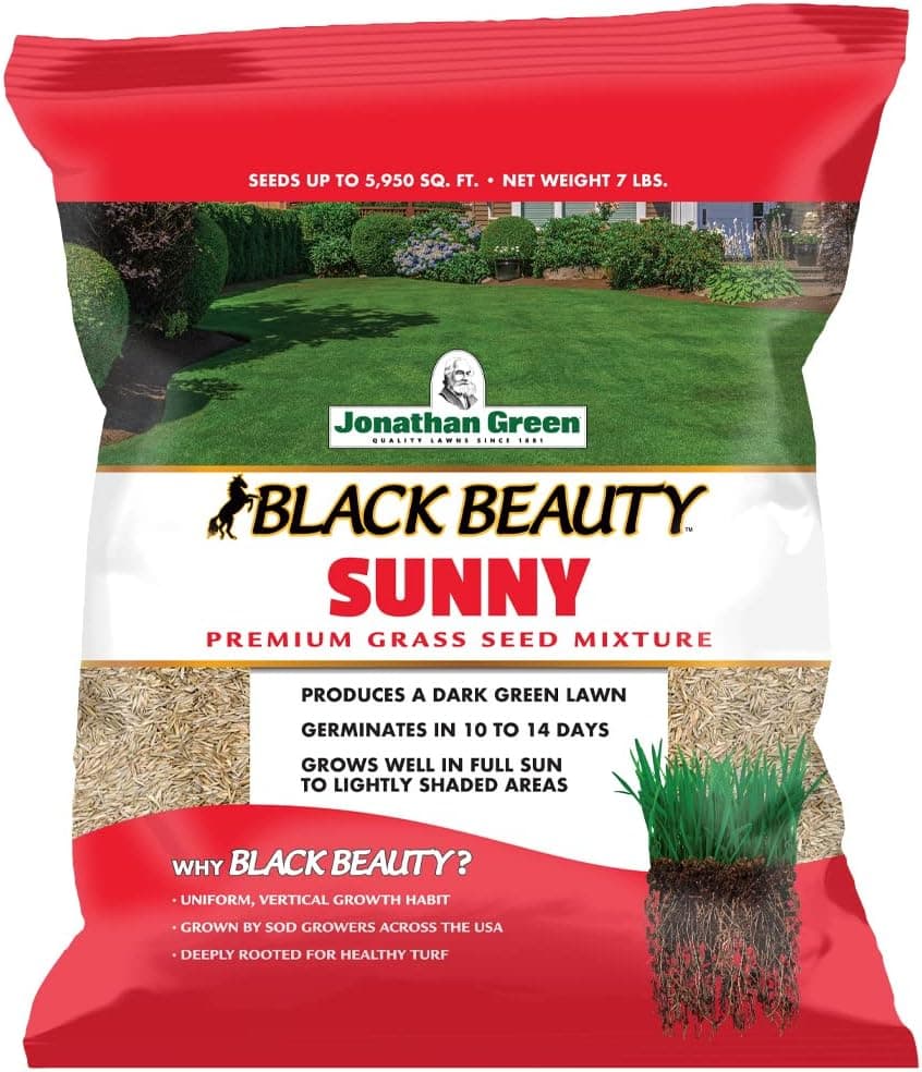 Jonathan Green Black Beauty Sunny Grass Seed (7lb)
