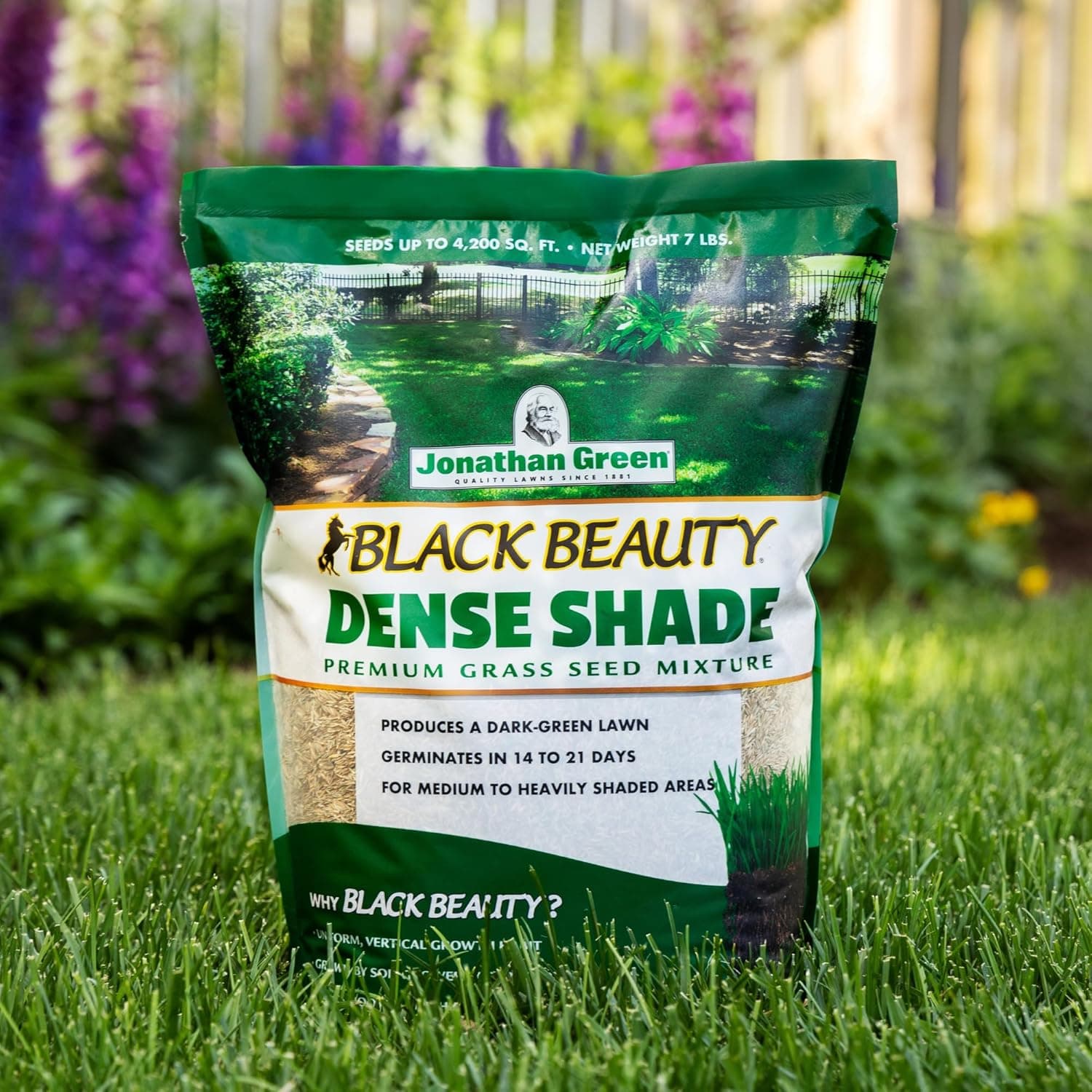 Jonathan Green Black Beauty Dense Shade Grass Seed (3lb) - thumbnail 4