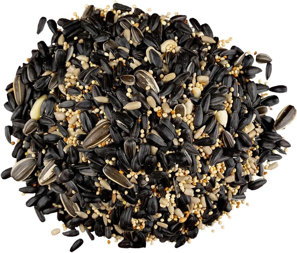 Bird Pro Backyard Blend Bird Food (5lbs) - thumbnail 3