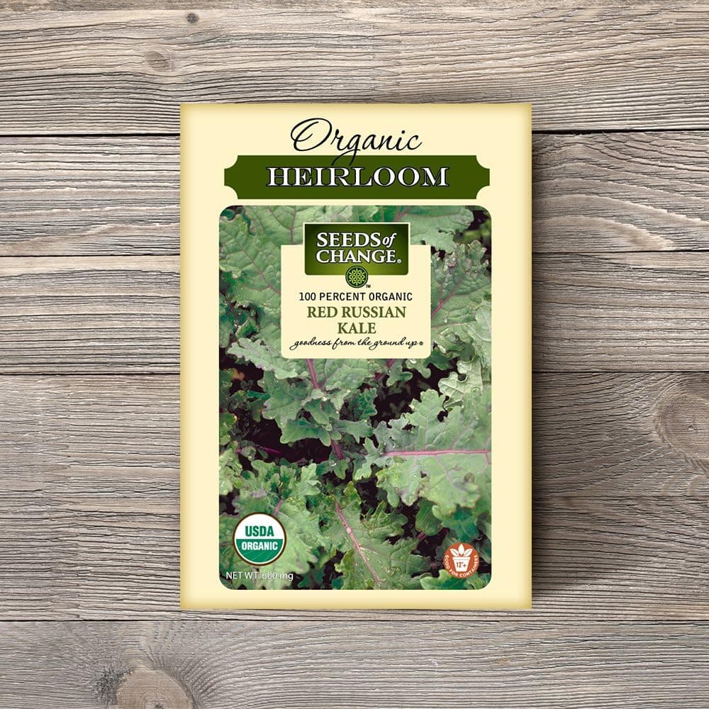 Seeds of Change Red Russian Kale - thumbnail 2