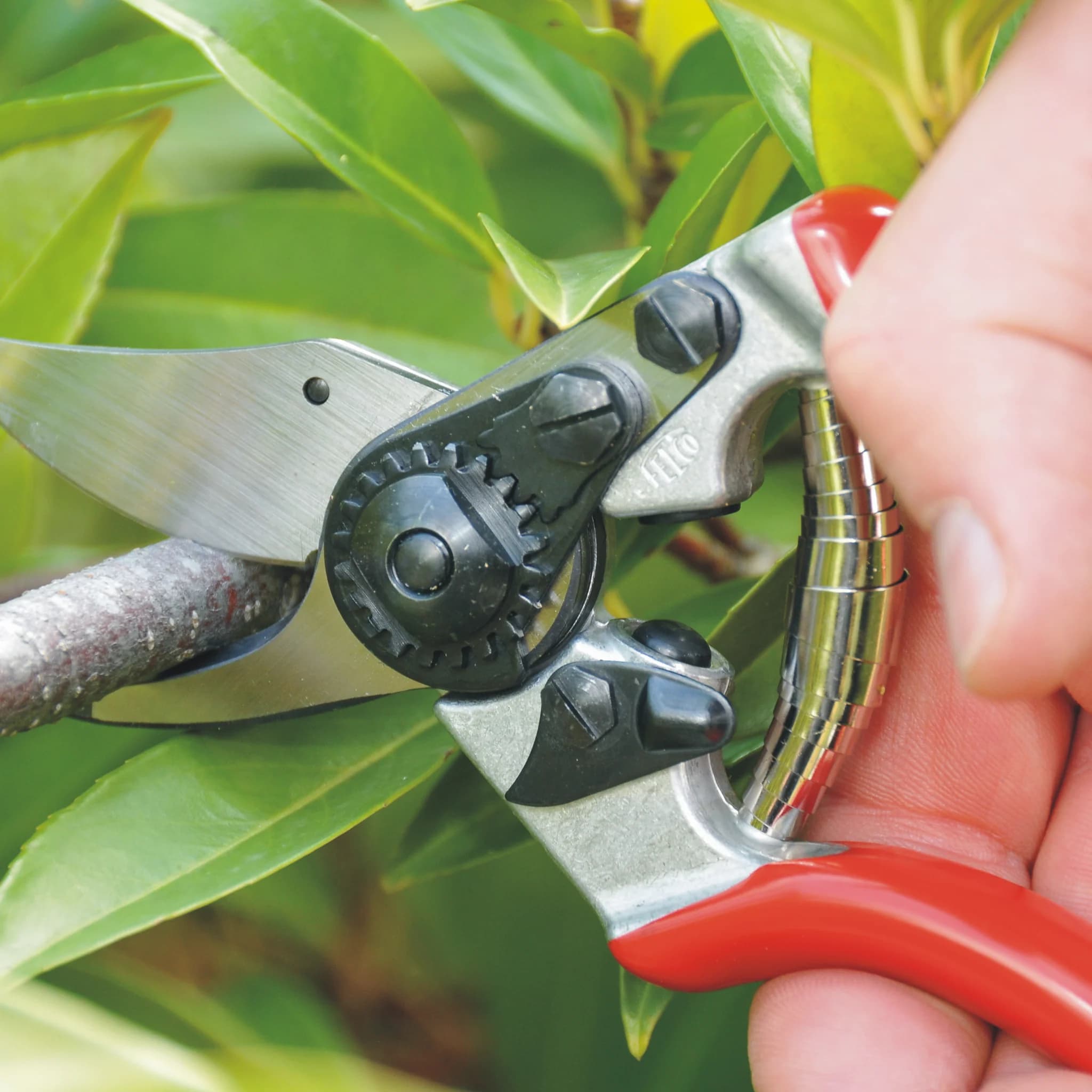 FELCO 6 Pruning Shear - thumbnail 4