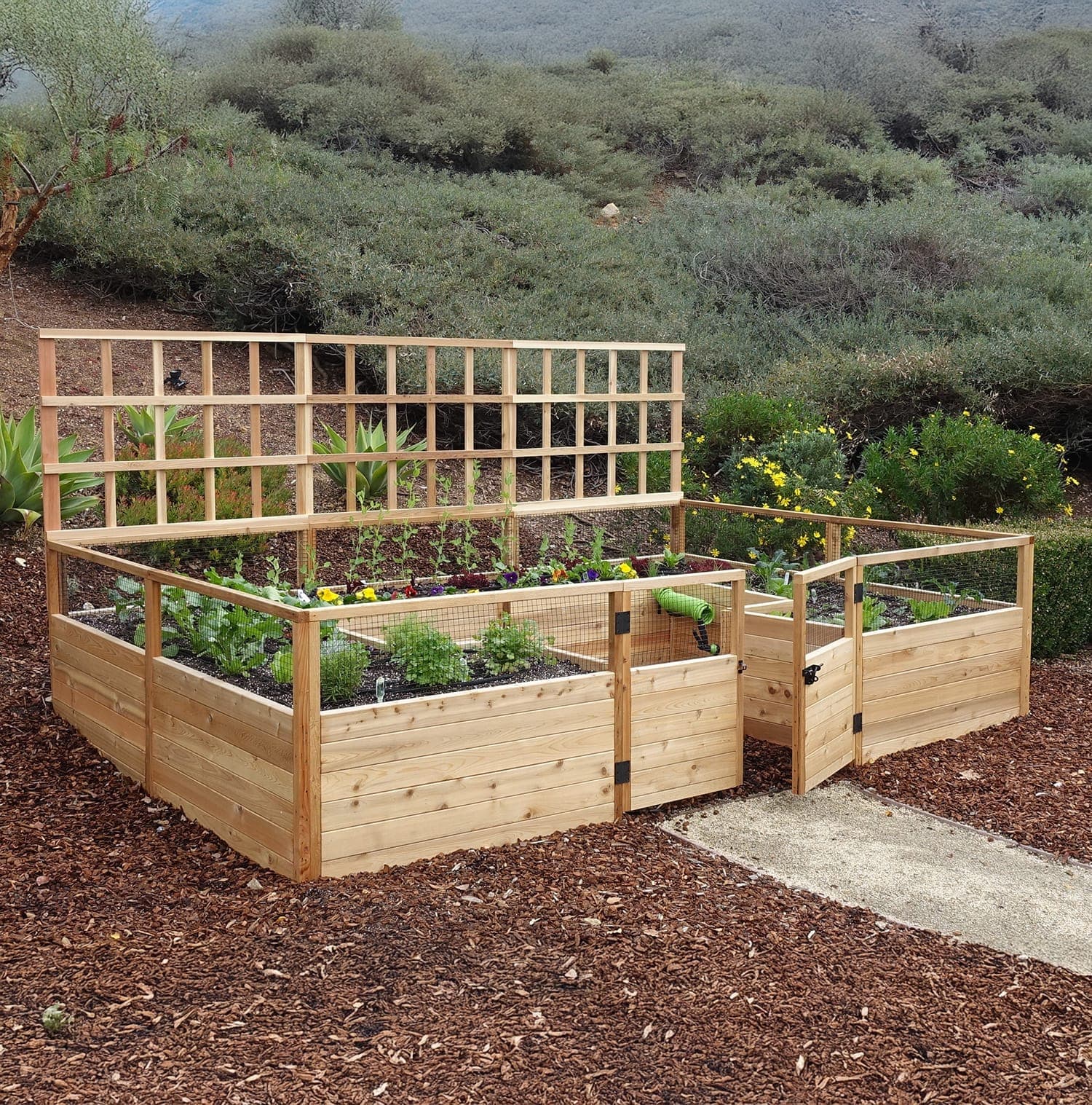 Raised Cedar Garden Bed | 12ft x 8ft - thumbnail 10