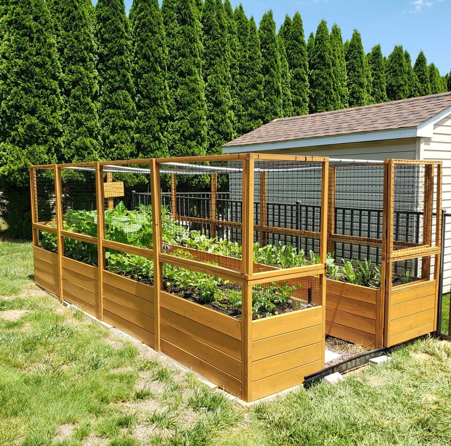 Raised Cedar Garden Bed  | 8 x 16 - thumbnail 9
