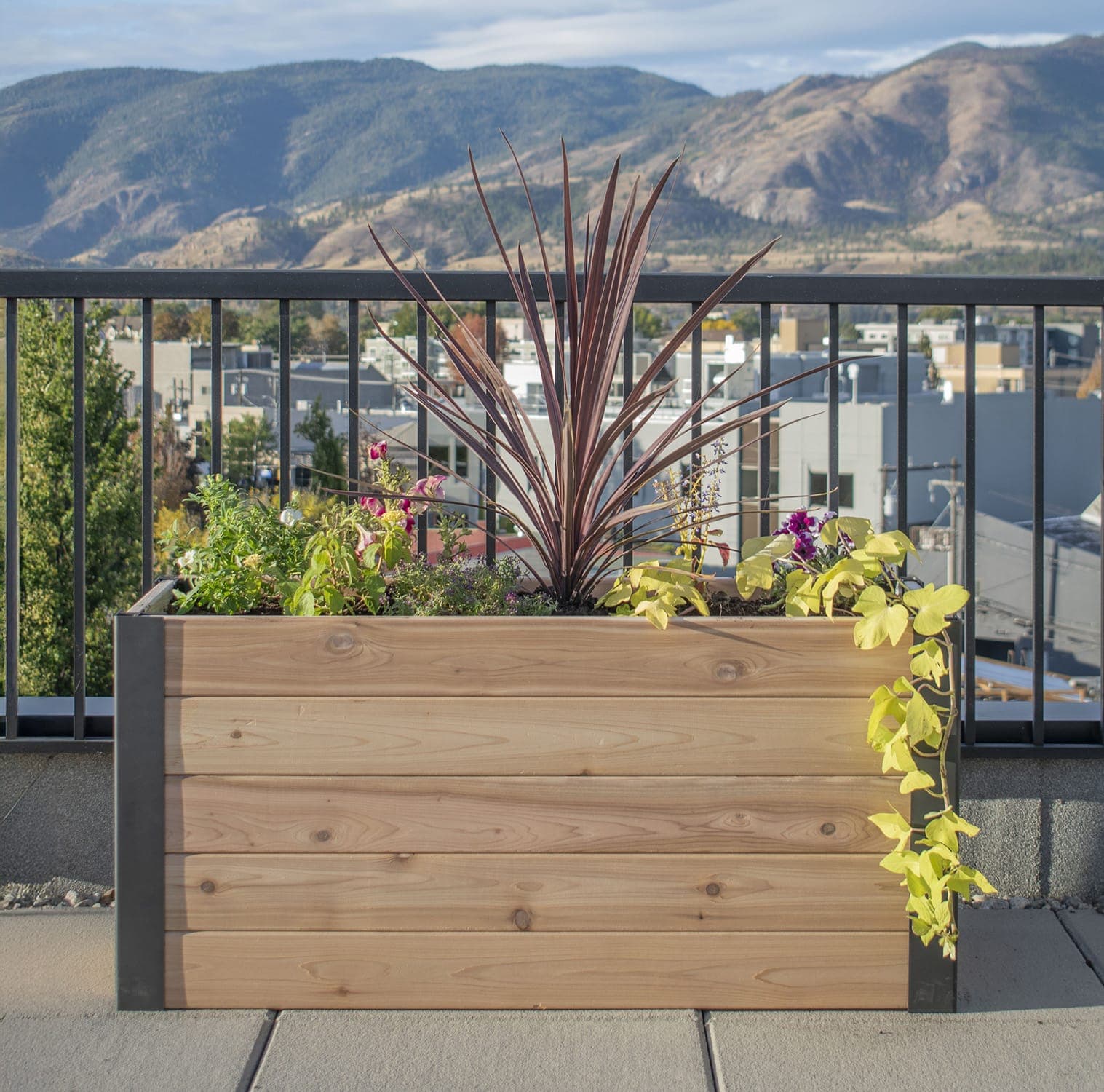 Urban Cedar Raised Garden Bed | 4 ft × 1.5 ft - thumbnail 9