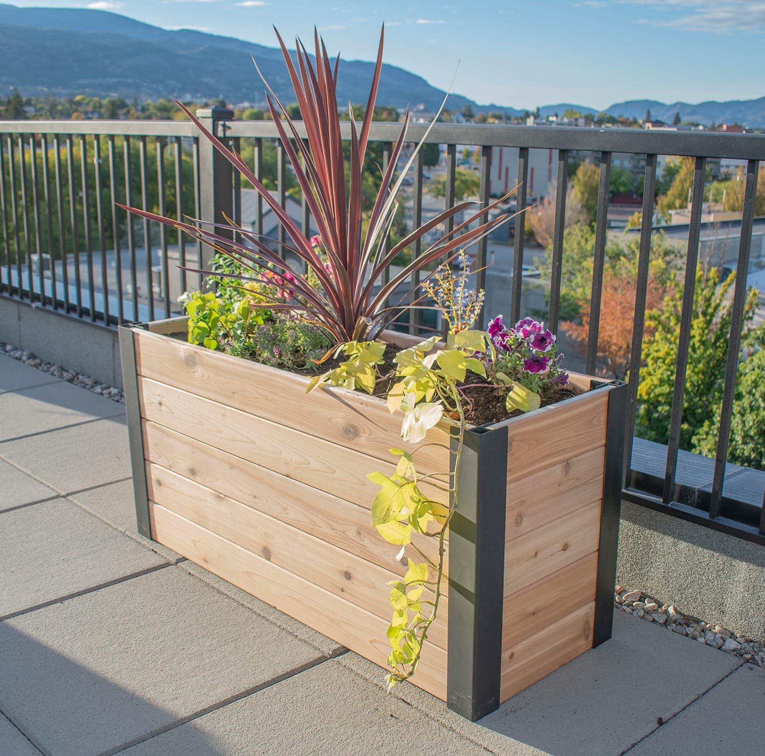 Urban Cedar Raised Garden Bed | 4 ft × 1.5 ft - thumbnail 7