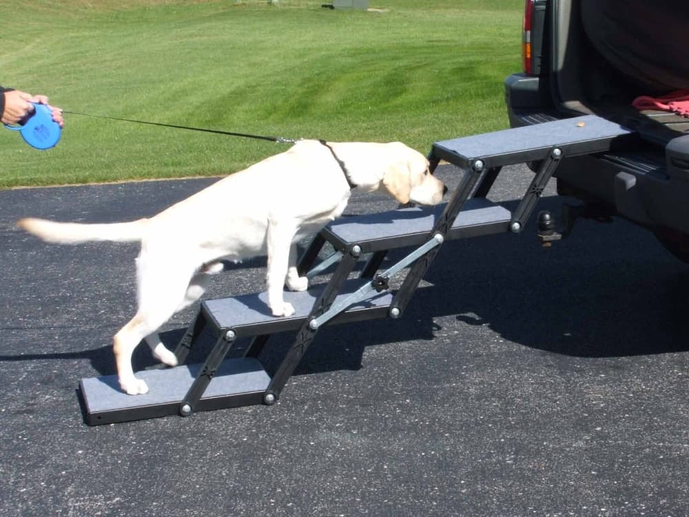 Pet Loader Mini 12″ Platform - thumbnail 4