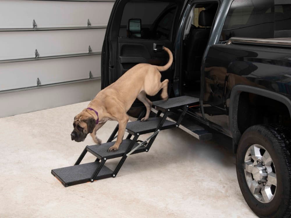 Pet Loader MAX 18″ Platform - thumbnail 2