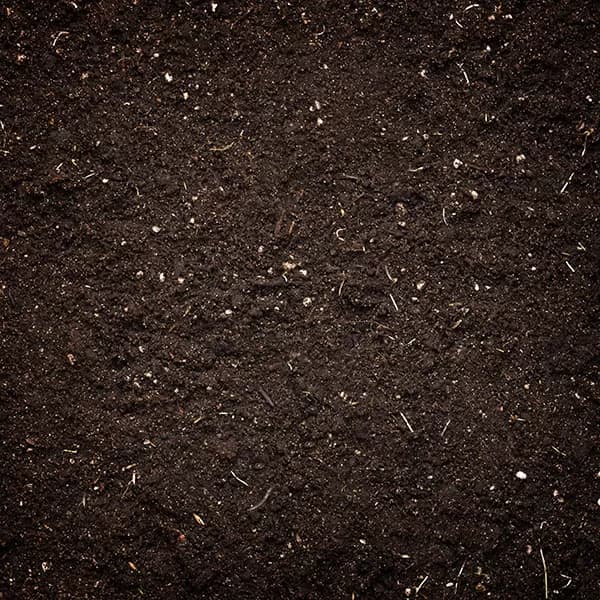 Organic Indoor Soil Mix