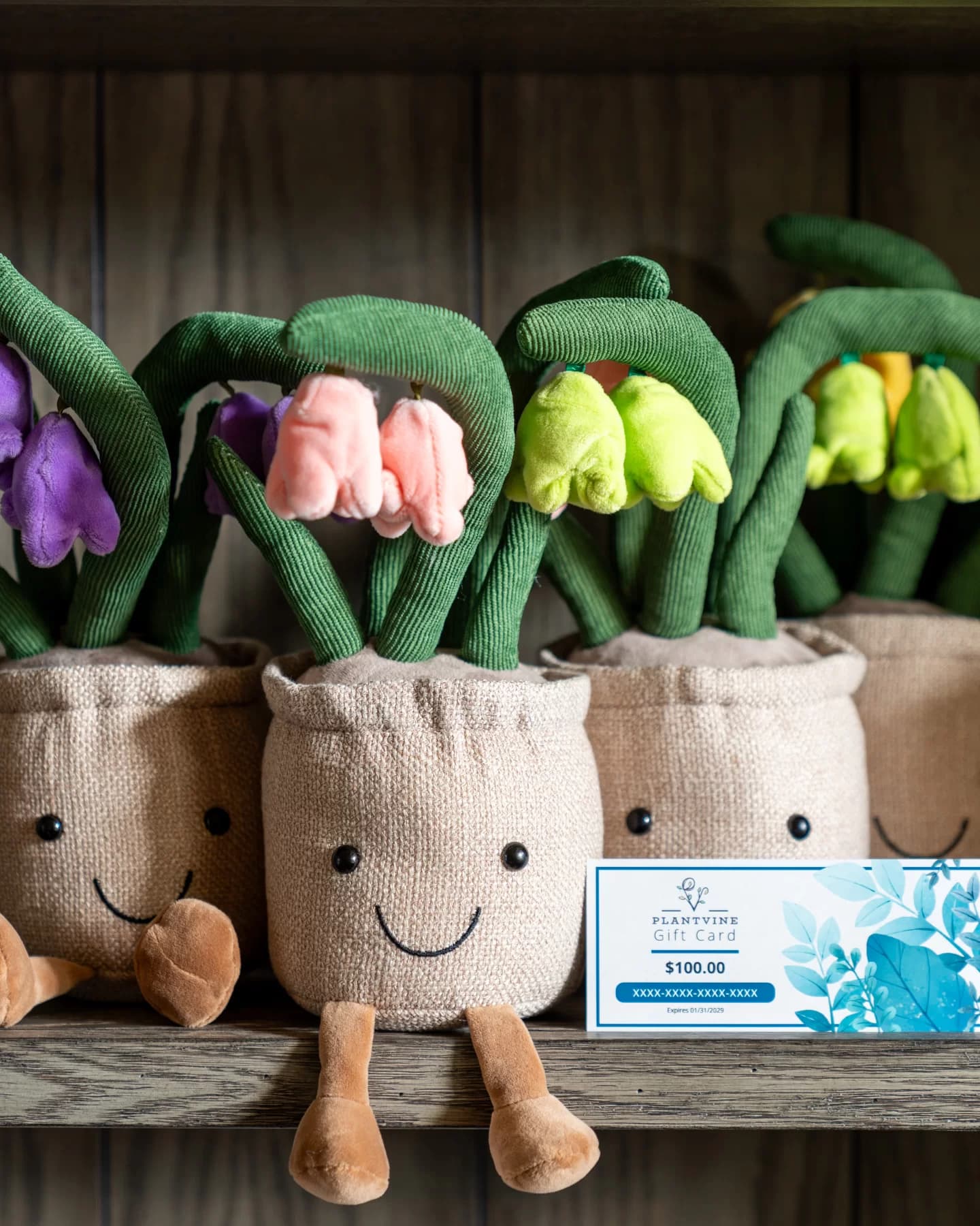 Plushie with $100 Gift Card