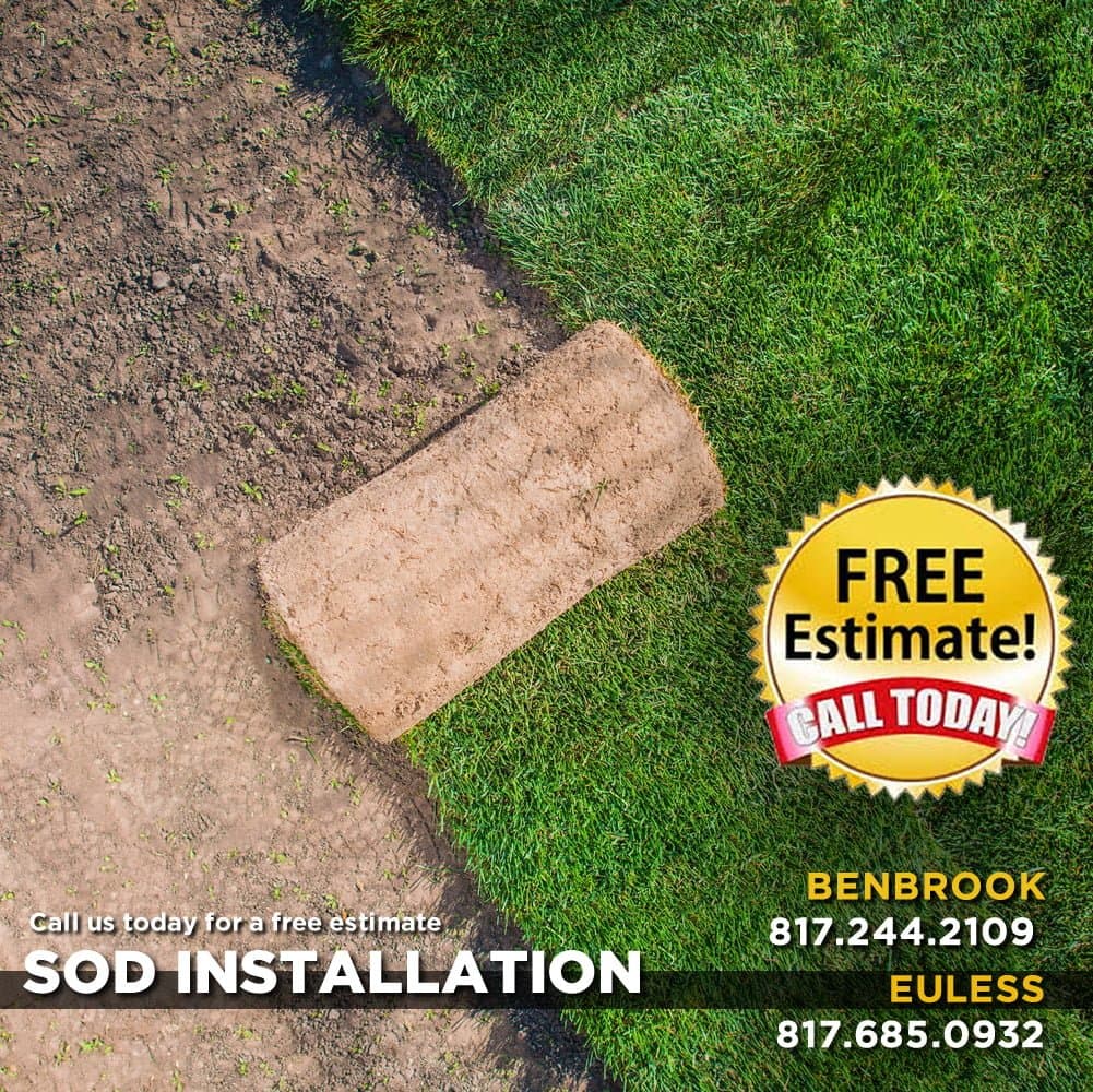 Raleigh St. Augustine Grass Pallets - thumbnail 3