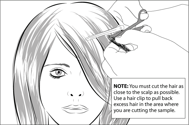 Detoxifying Hair Shampoo and Conditioner - thumbnail 2