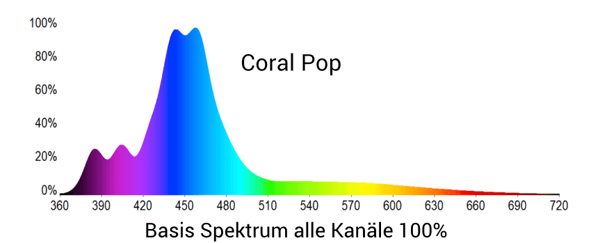 Mitras LX 7506 Coral Pop - thumbnail 4