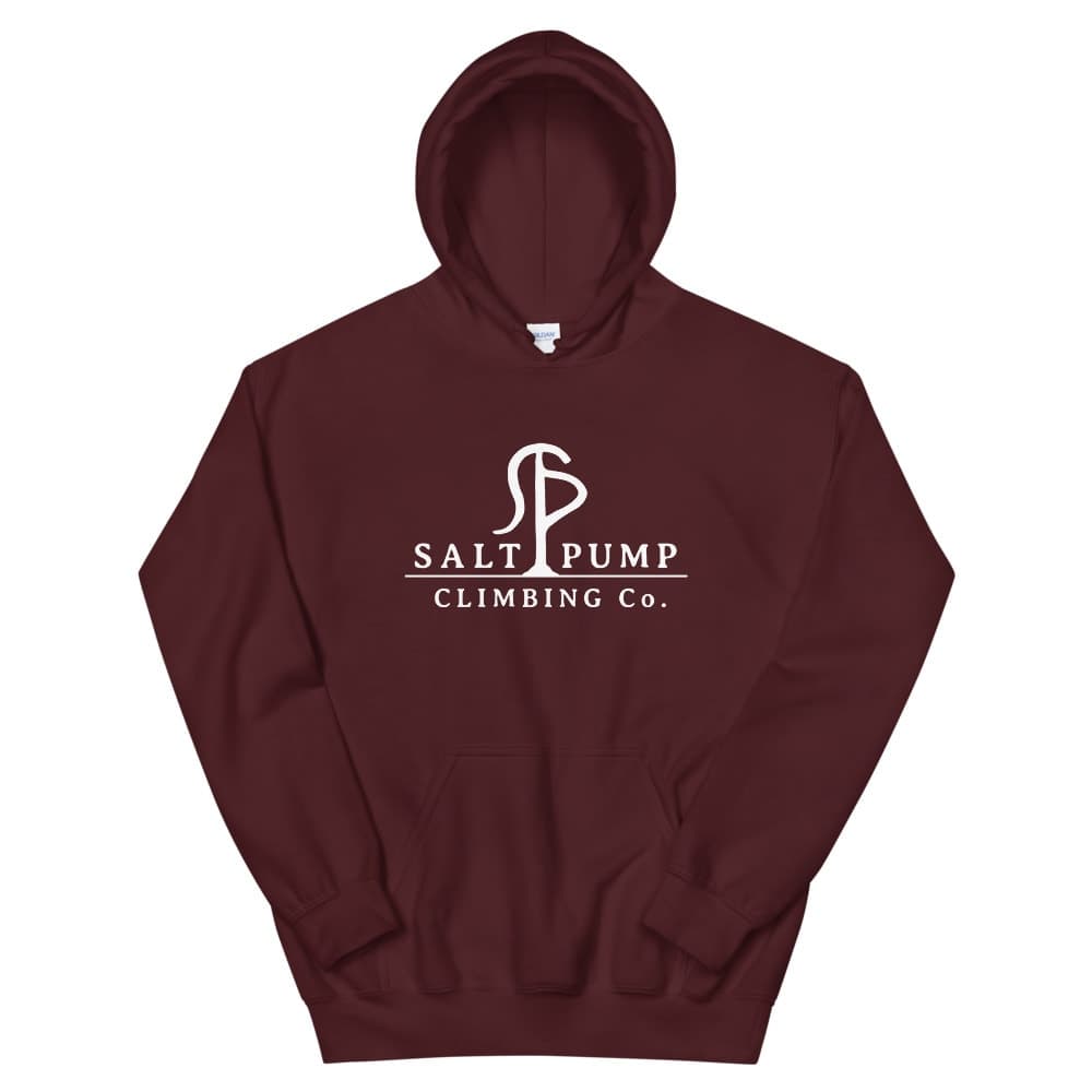 Logo Pullover Hoody - thumbnail 3