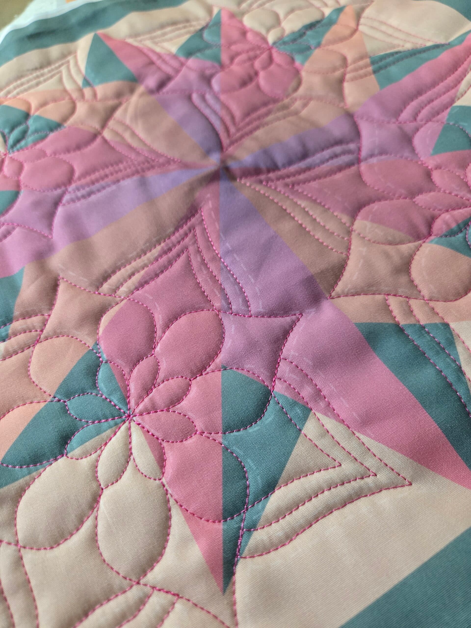 Shadowed Dizzy Geese Block A Quilt Kit - thumbnail 3