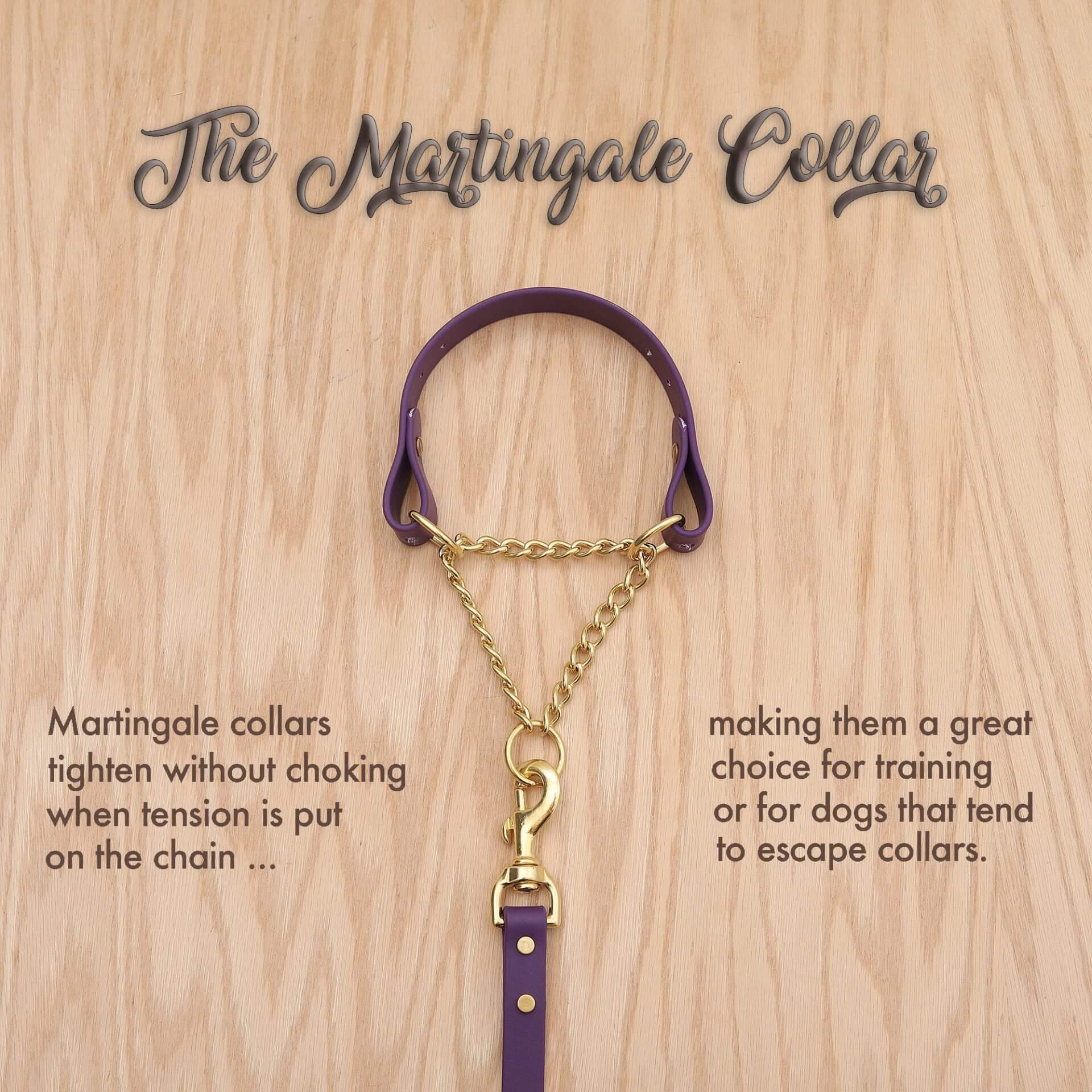 Studded Waterproof Martingale Dog Collar w/ Nameplate – Comet - thumbnail 4