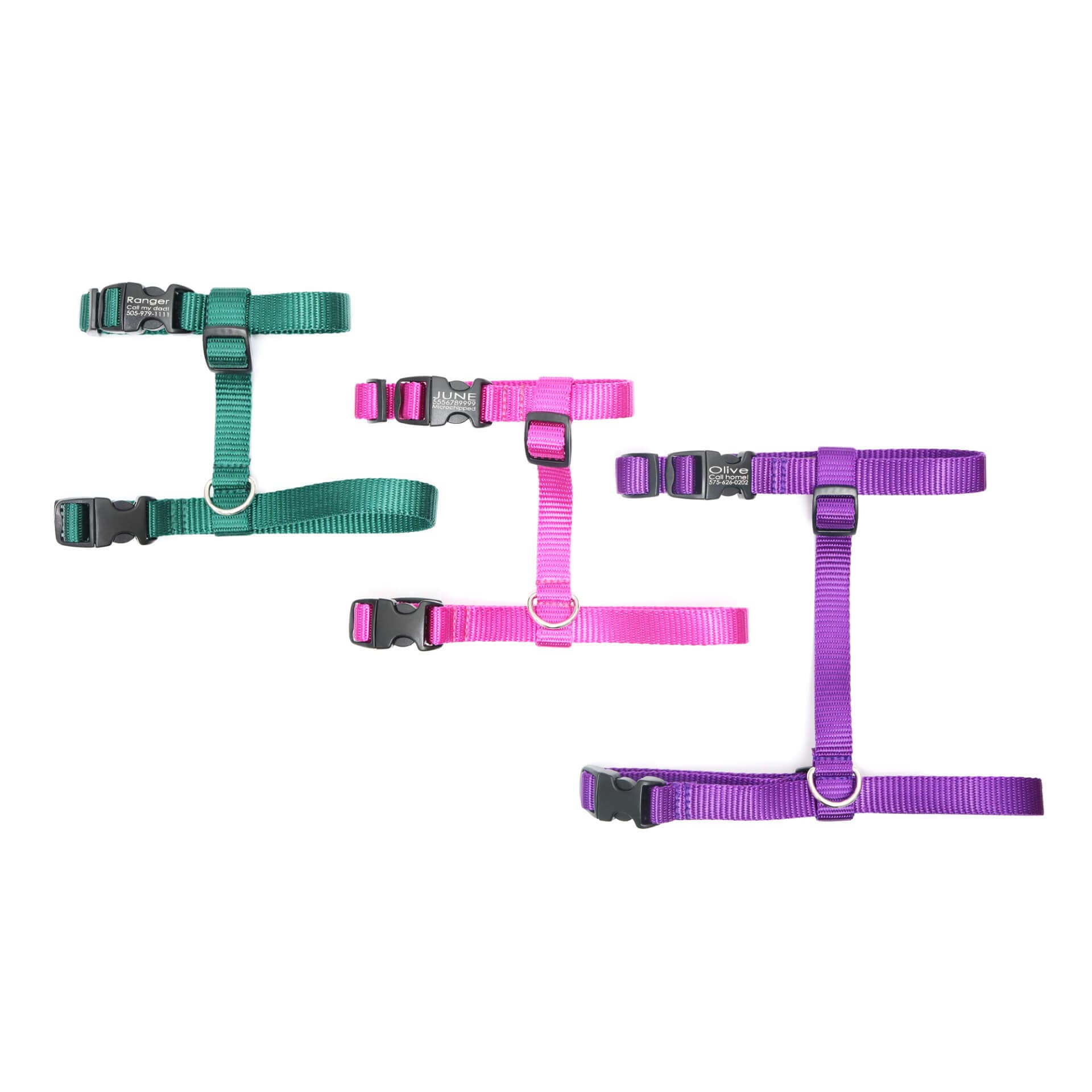 Nylon Cat Harness – Optional Personalized Buckle - thumbnail 6