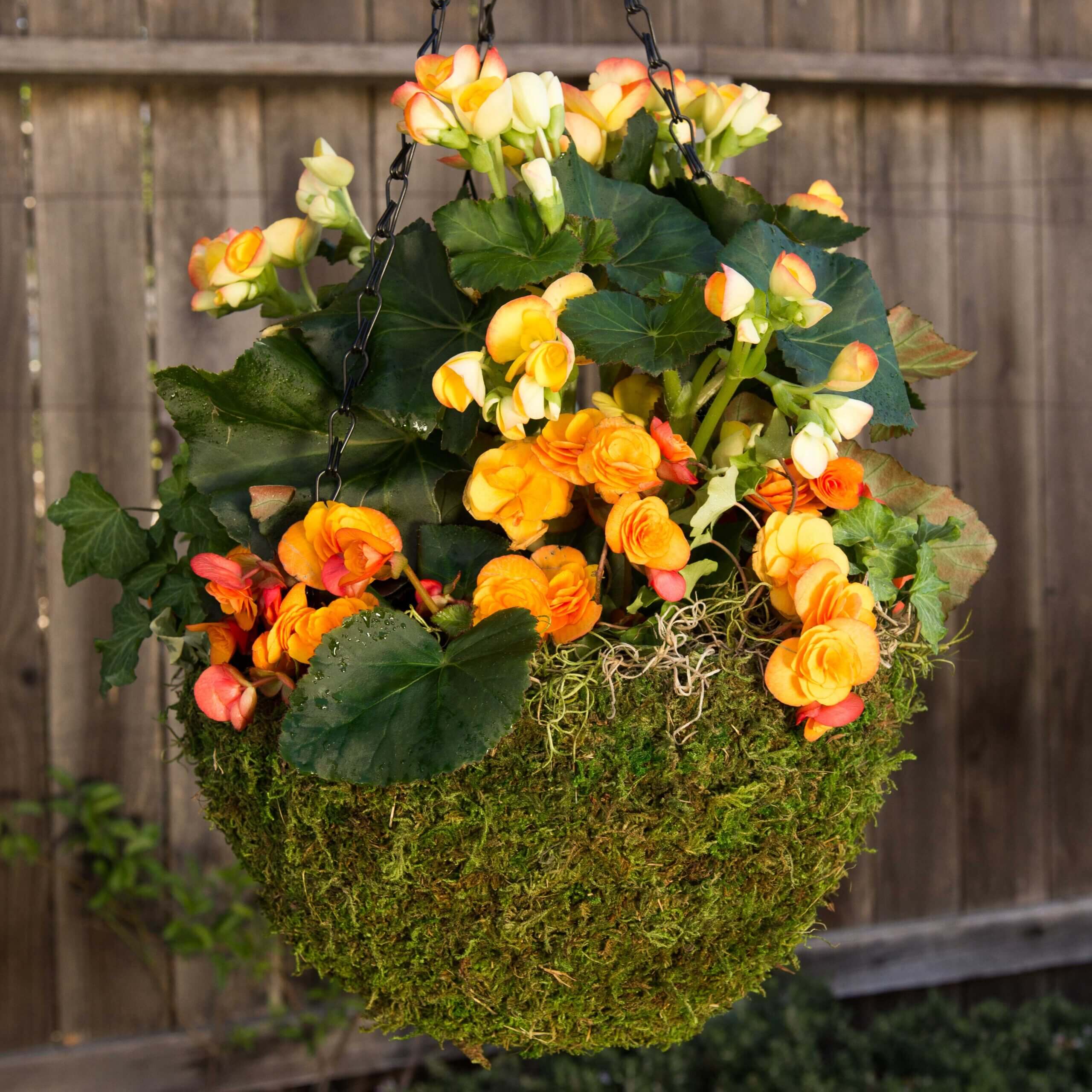 MossWeave Mini Hanging Basket Set of 4, Fresh Green - thumbnail 2