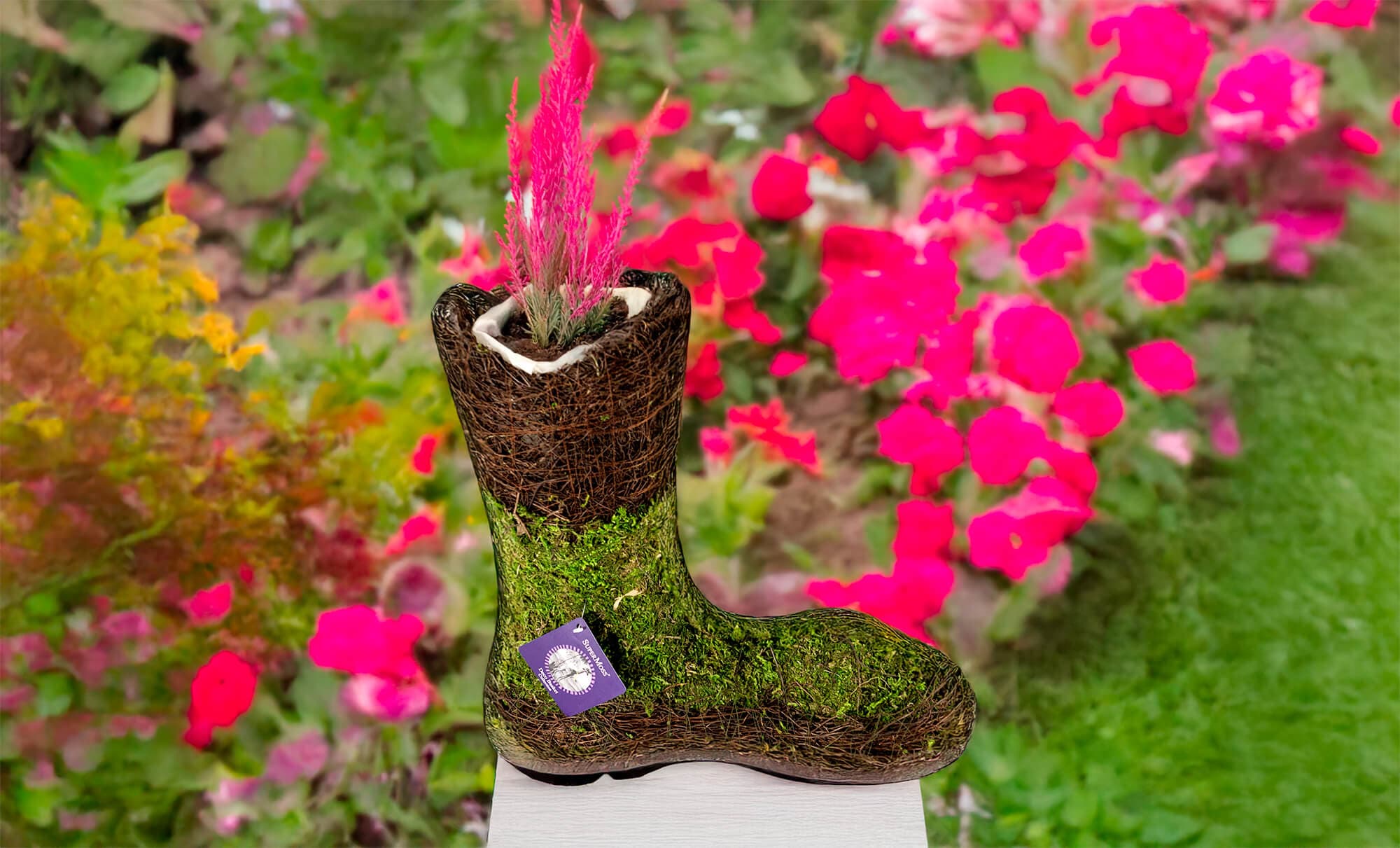 Fairy Boot Deco Moss Planter - thumbnail 2