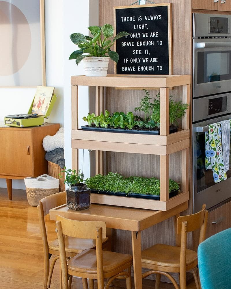 Indoor LED Herb Garden - thumbnail 4
