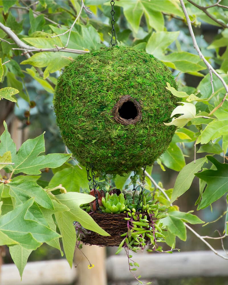 Air Balloon Birdhouse - thumbnail 2
