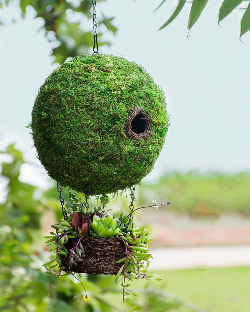 Air Balloon Birdhouse - thumbnail 4