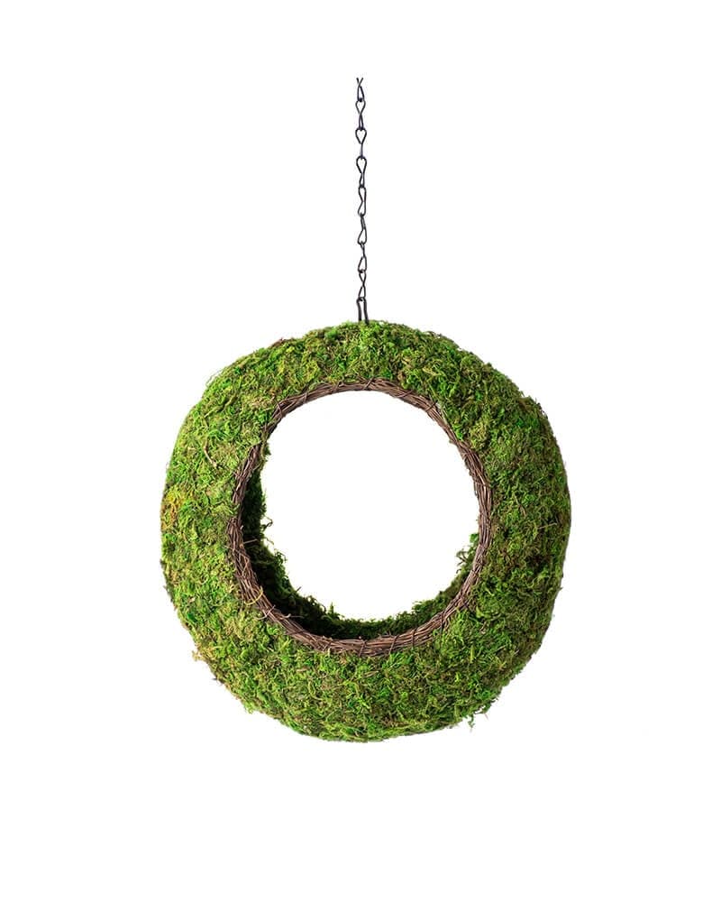 Plantable Sunrise Bird Feeder