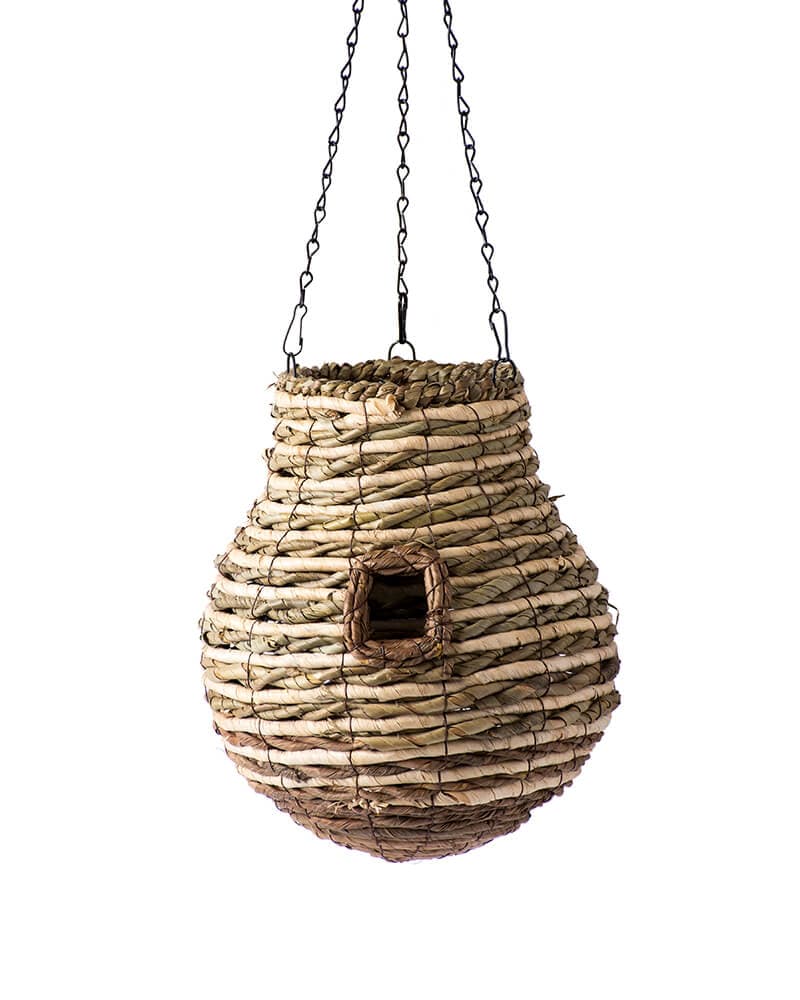 Pineapple Plantable Birdhouse