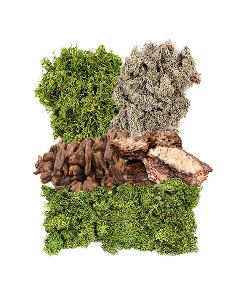 Dried Moss Mix