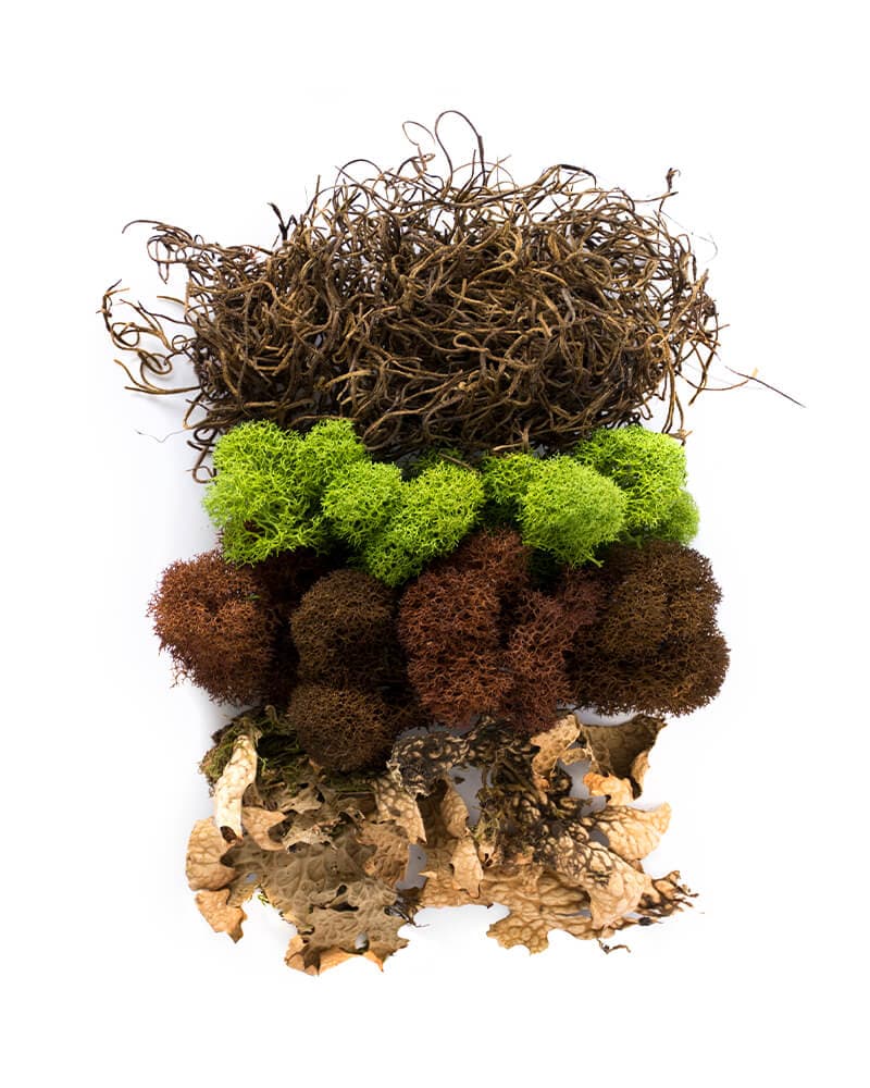 Oregon Moss Mix