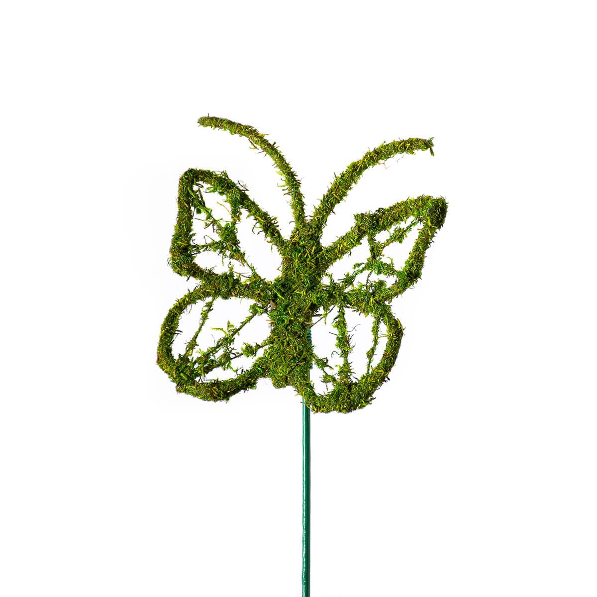 Monarch Moss Pick, Single