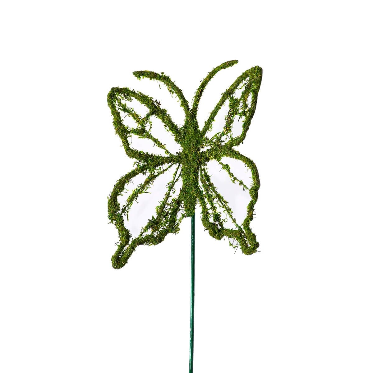 Mariposa Moss Pick, Single
