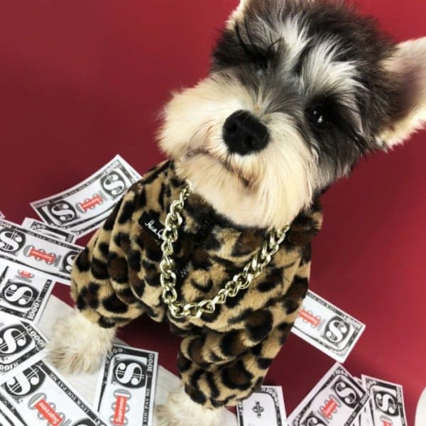 Leopard Trend Luxury Dog Winter Coat - thumbnail 3