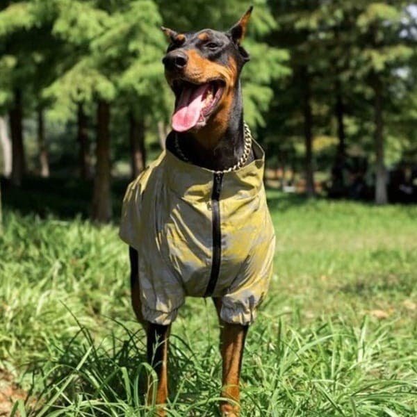 SDG Camo Matching Dog And Owner Reflective Windbreaker Jackets - thumbnail 3
