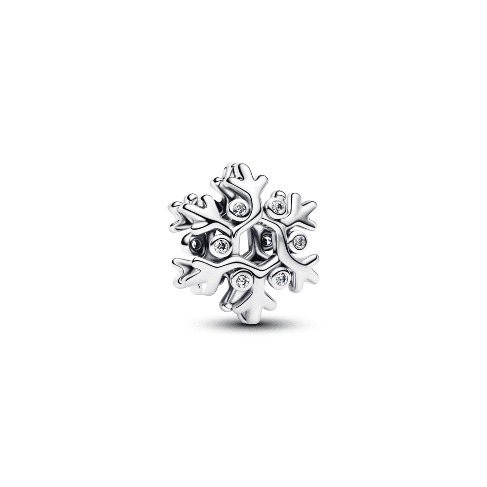 Snowflake Charm
