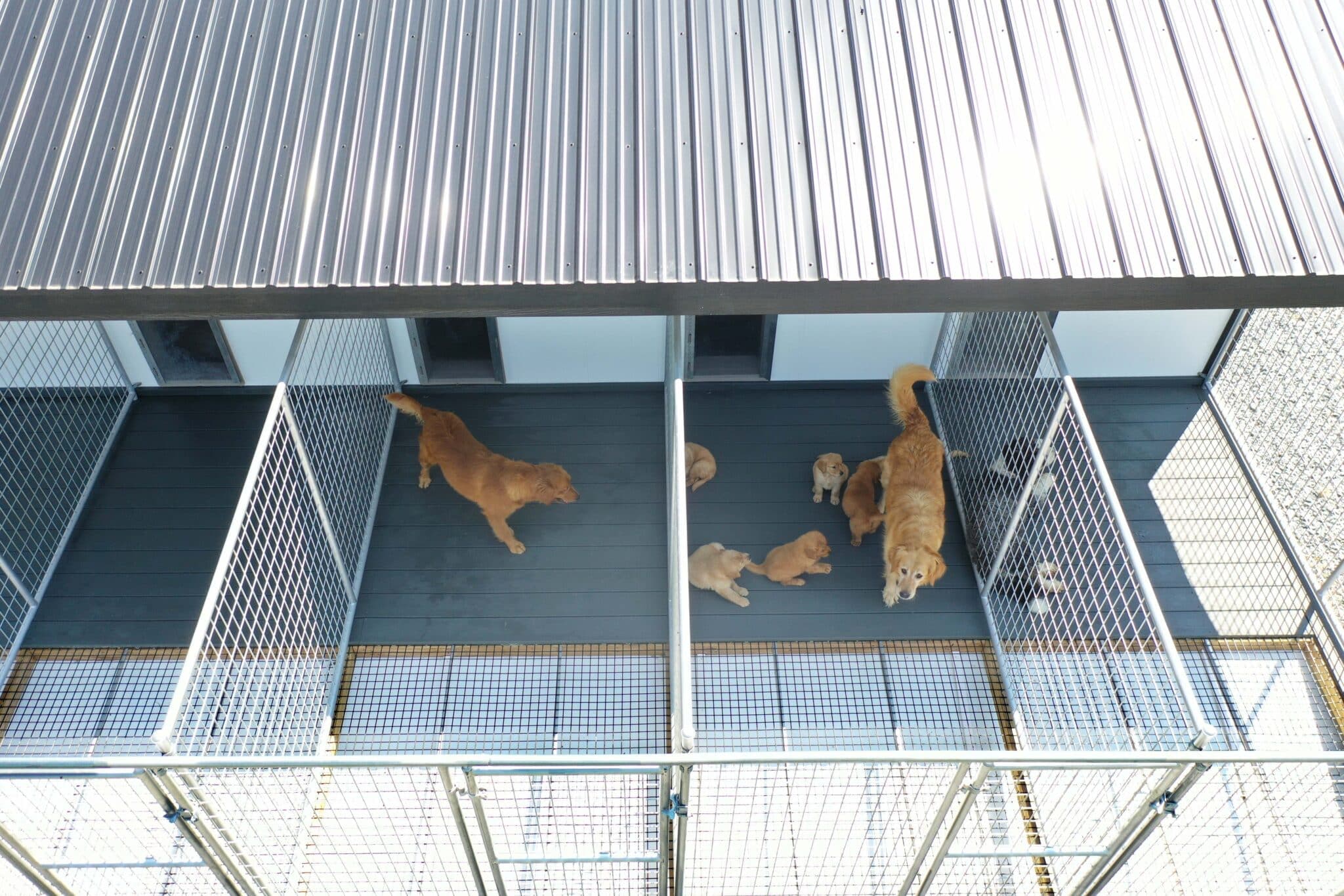 14×26 9-Run Commercial Kennel - thumbnail 4