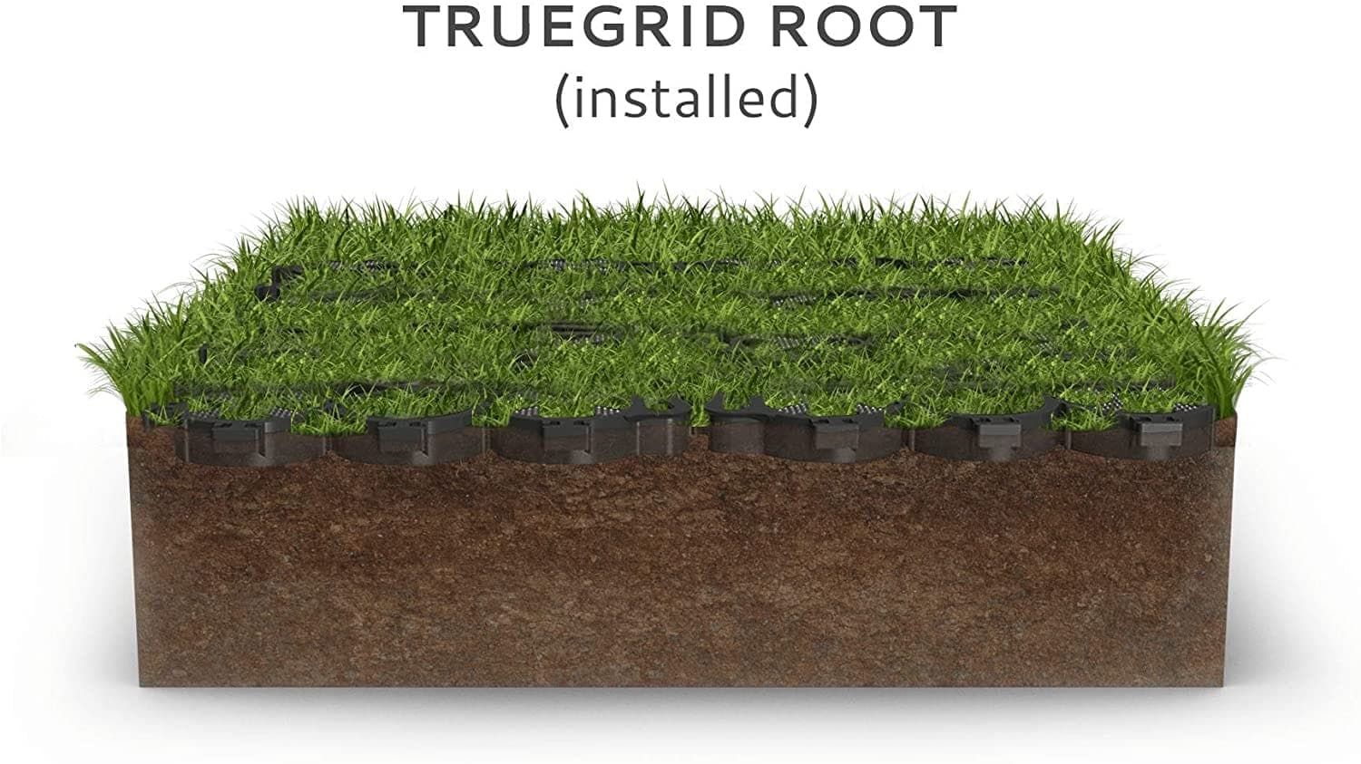 ROOT® - thumbnail 6