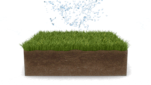 ROOT® - thumbnail 5