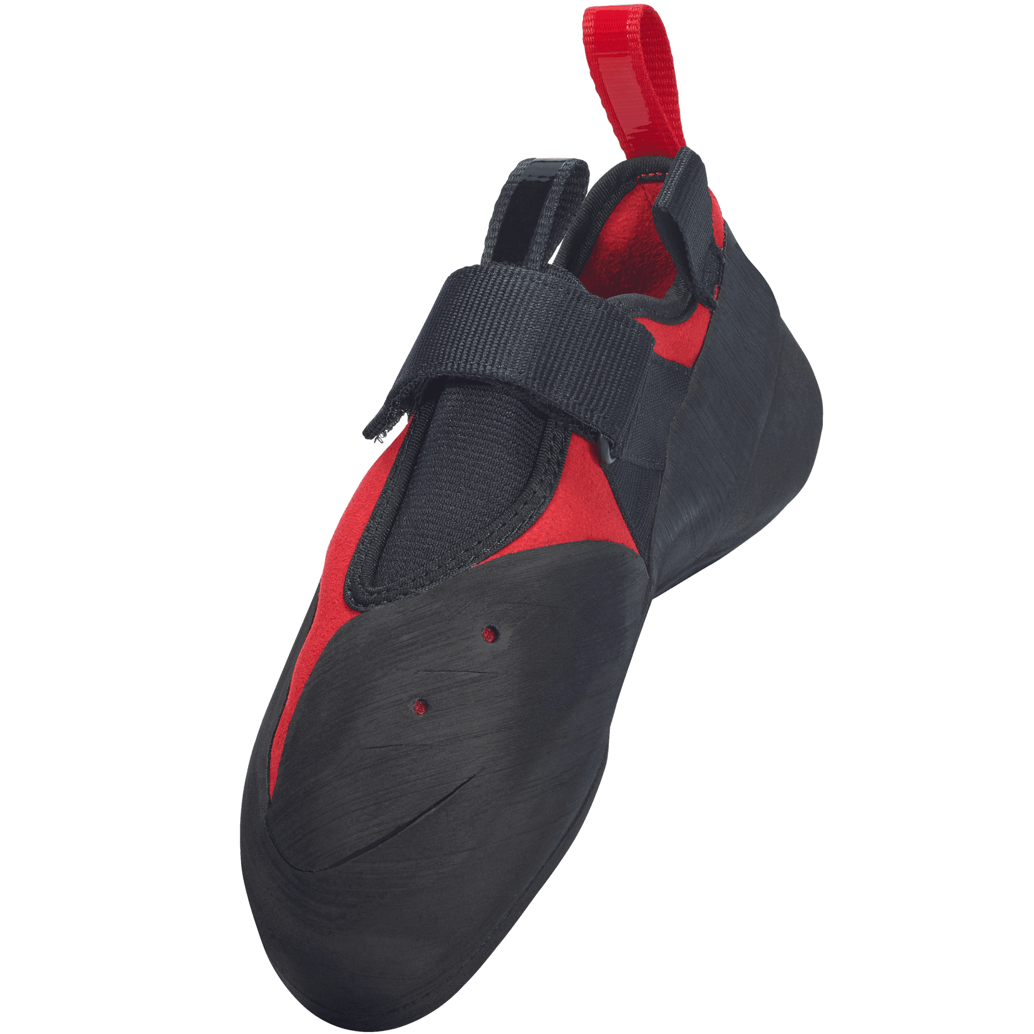 Regulus LV - thumbnail 2