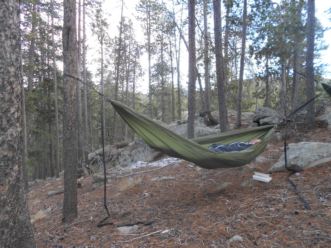 Traveler Hammock