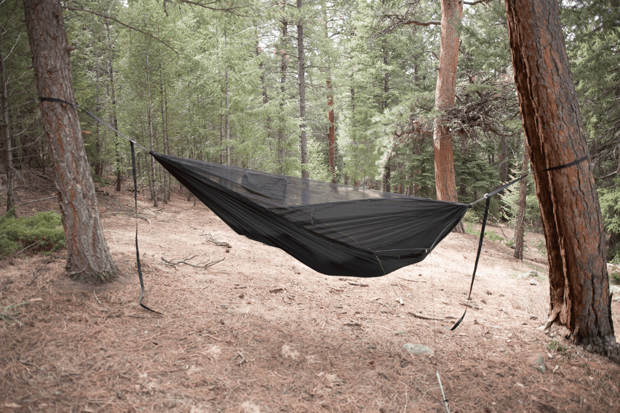 Eldorado Hammock Gen3