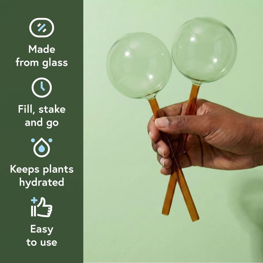 Self Watering Plant Globes
