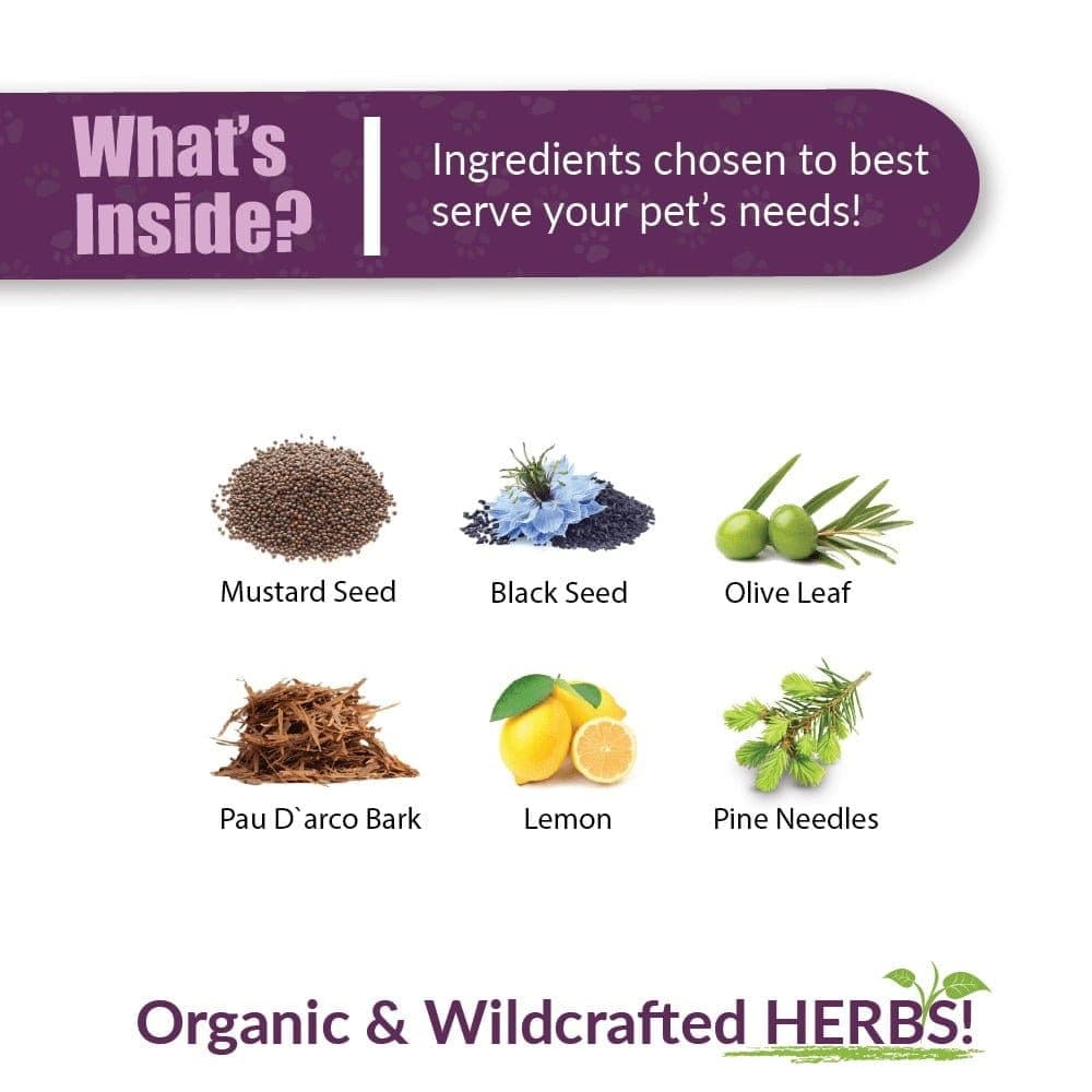 Amber NaturalZ UTR™ (Urinary Tract Support) - thumbnail 3